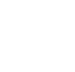 flag-white